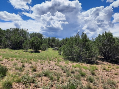 Great Views - image 1