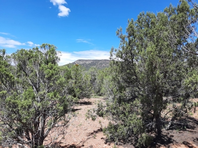 Great Views - image 8