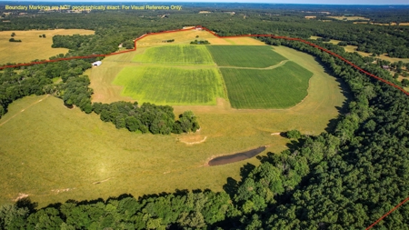 Dent County MO Land for Sale  Dry Creek 463 - image 6