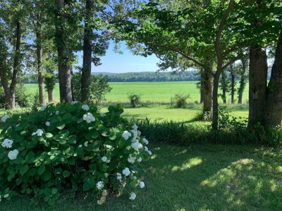 Dent County MO Land for Sale  Dry Creek 463 - image 14