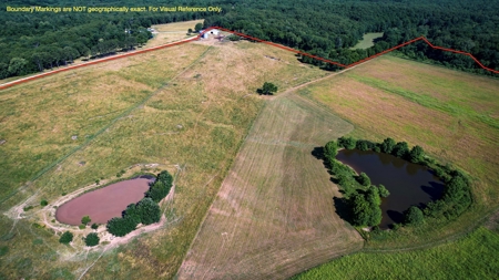 Dent County MO Land for Sale  Dry Creek 463 - image 11