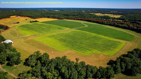 Dent County MO Land for Sale  Dry Creek 463 - image 7