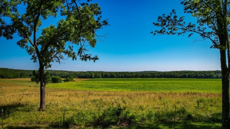 Dent County MO Land for Sale  Dry Creek 463 - image 15