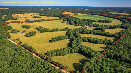 Dent County MO Land for Sale  Dry Creek 463 - image 3