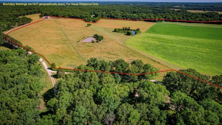 Dent County MO Land for Sale  Dry Creek 463 - image 9