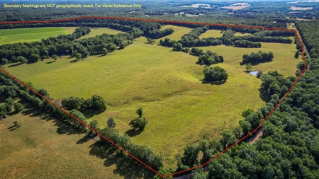 Dent County MO Land for Sale  Dry Creek 463 - image 4