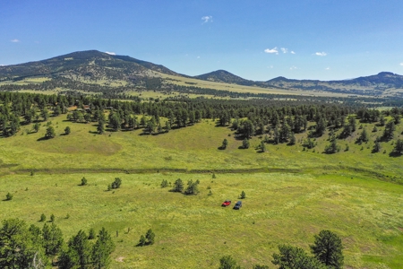 Colorado Mountain Horse Property - image 20
