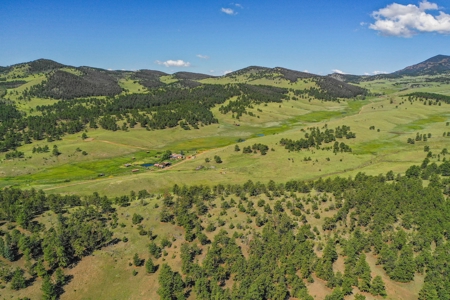 Colorado Mountain Horse Property - image 3