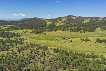 Colorado Mountain Horse Property - image 15