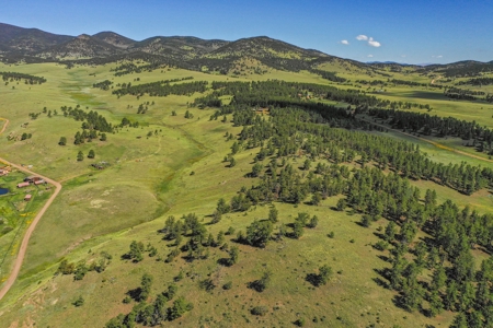 Colorado Mountain Horse Property - image 4