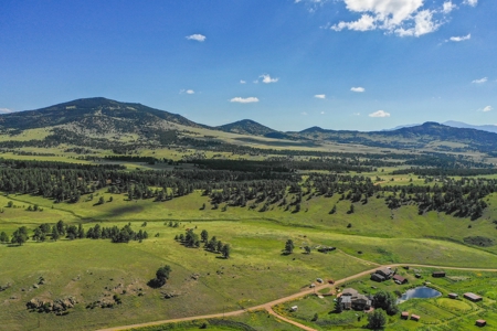 Colorado Mountain Horse Property - image 5