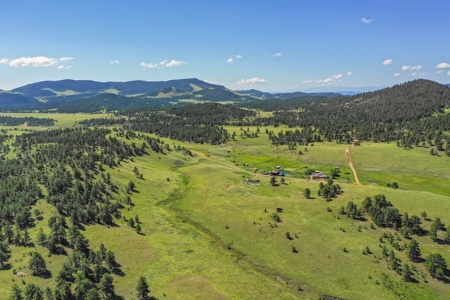 Colorado Mountain Horse Property - image 16