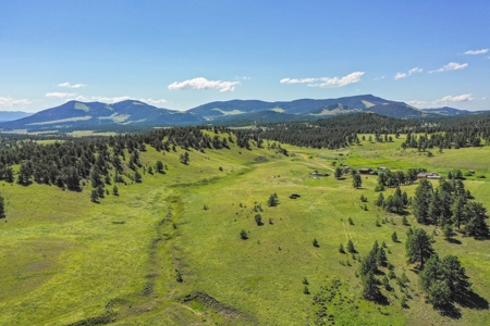 Colorado Mountain Horse Property - image 17