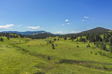 Colorado Mountain Horse Property - image 18