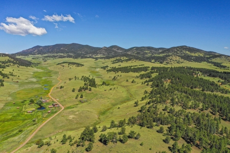 Colorado Mountain Horse Property - image 1