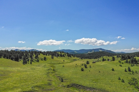 Colorado Mountain Horse Property - image 8