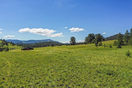 Colorado Mountain Horse Property - image 13