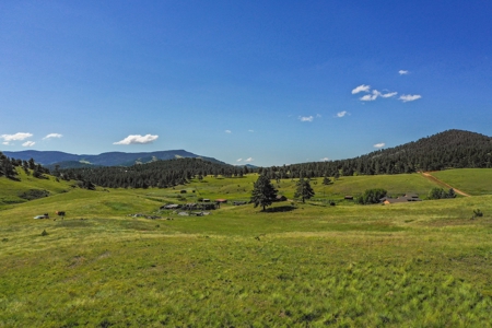 Colorado Mountain Horse Property - image 9