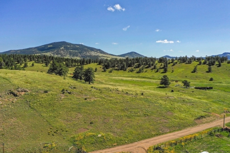Colorado Mountain Horse Property - image 21