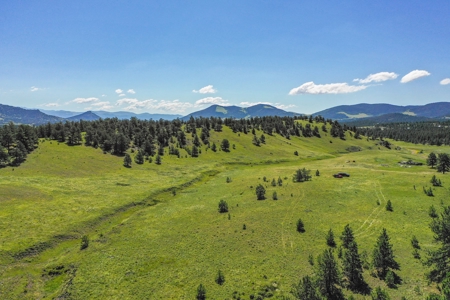 Colorado Mountain Horse Property - image 19