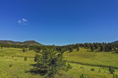 Colorado Mountain Horse Property - image 11