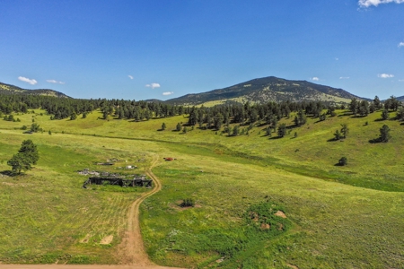 Colorado Mountain Horse Property - image 22