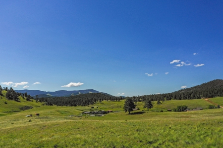 Colorado Mountain Horse Property - image 12
