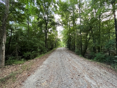 Dorcheat 280 Acres for Sale Webster Parish, LA - image 19