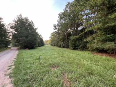 Dorcheat 280 Acres for Sale Webster Parish, LA - image 27