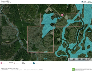 Dorcheat 280 Acres for Sale Webster Parish, LA - image 40