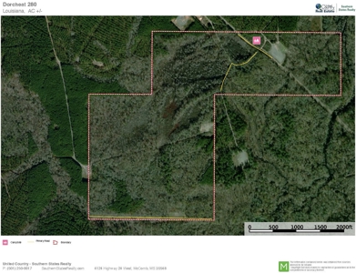 Dorcheat 280 Acres for Sale Webster Parish, LA - image 39