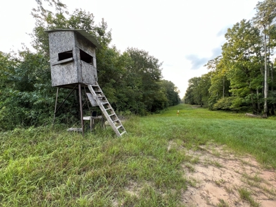 Dorcheat 280 Acres for Sale Webster Parish, LA - image 31
