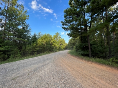 Dorcheat 280 Acres for Sale Webster Parish, LA - image 35