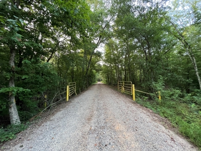 Dorcheat 280 Acres for Sale Webster Parish, LA - image 26