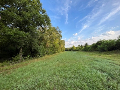 Dorcheat 280 Acres for Sale Webster Parish, LA - image 34