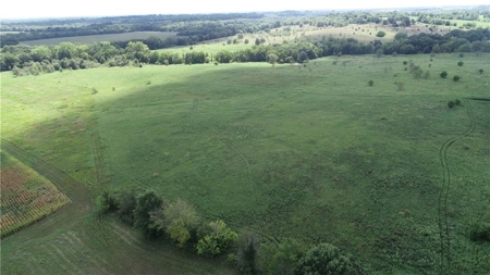 Farm Land Cameron, MO - image 19