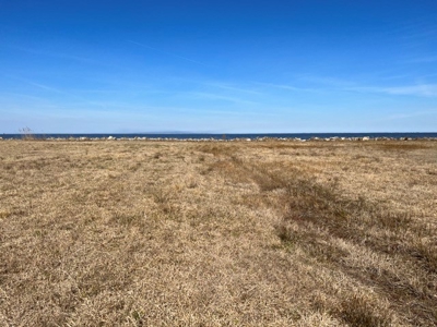 Waterfront Lot Albemarle Sound - image 11