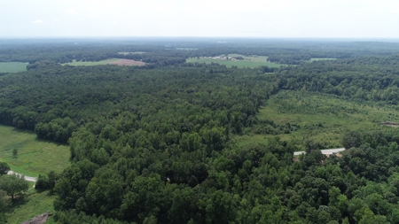 Hunting & Timber Land for Sale in Henry County TN & TN River - image 7