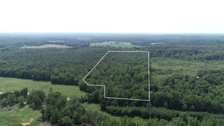Hunting & Timber Land for Sale in Henry County TN & TN River - image 1