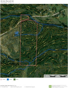 Hunting & Timber Land for Sale in Henry County TN & TN River - image 12