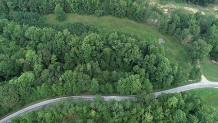 Hunting & Timber Land for Sale in Henry County TN & TN River - image 9