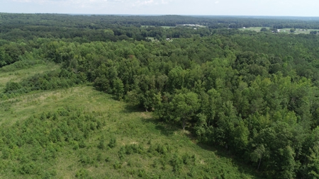 Hunting & Timber Land for Sale in Henry County TN & TN River - image 8