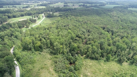 Hunting & Timber Land for Sale in Henry County TN & TN River - image 11