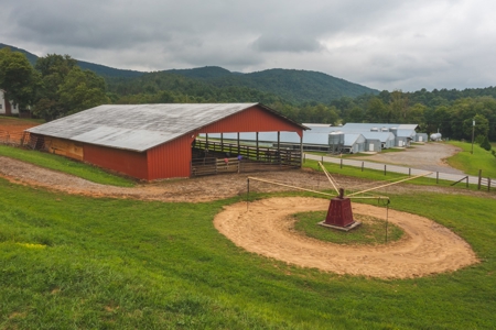 Country Home and Poultry Farm for Sale in Boomer NC - image 28