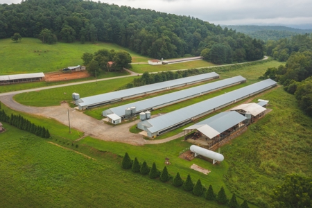 Country Home and Poultry Farm for Sale in Boomer NC - image 25