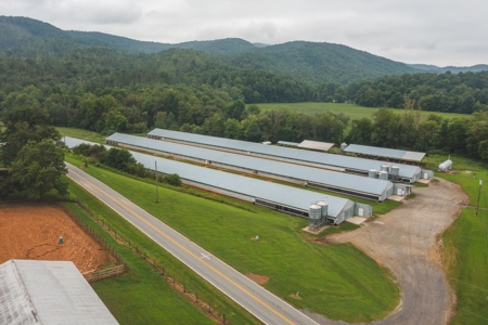 Country Home and Poultry Farm for Sale in Boomer NC - image 24