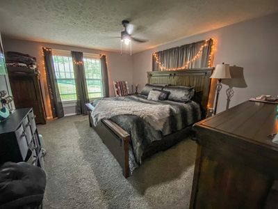 Country Home and Poultry Farm for Sale in Boomer NC - image 36