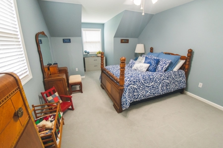 Country Home and Poultry Farm for Sale in Boomer NC - image 16