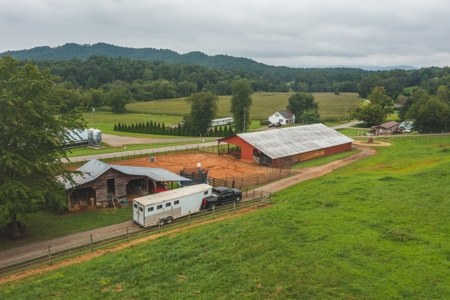 Country Home and Poultry Farm for Sale in Boomer NC - image 27