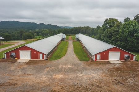 Country Home and Poultry Farm for Sale in Boomer NC - image 22